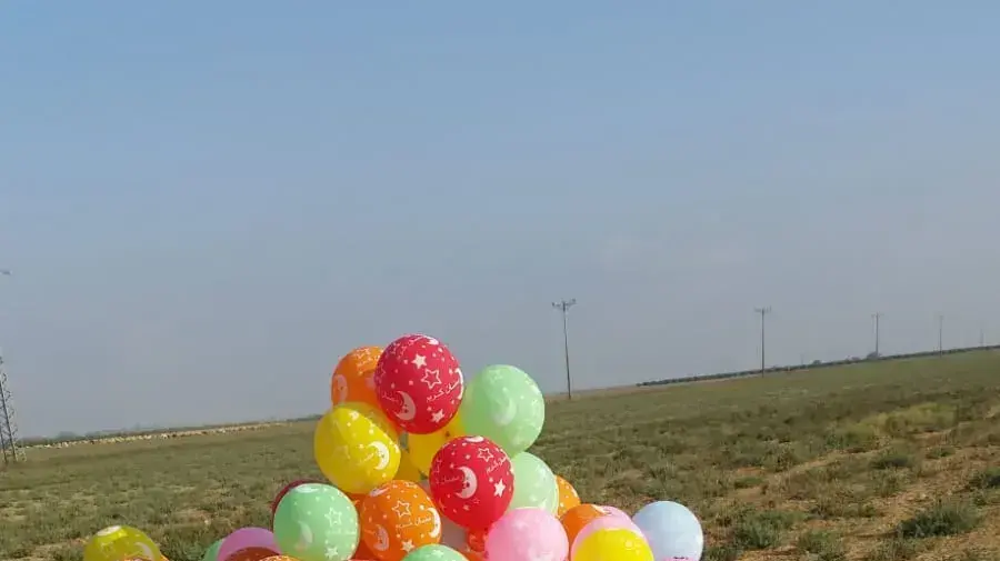 טיפול חבלן בזר הבלונים שנחת בקיבוץ צאלים במועצה אזורית אשכול - 28.6 טיפול חבלן בזר הבלונים שנחת בקיבוץ צאלים במועצה אזורית אשכול - 28.6