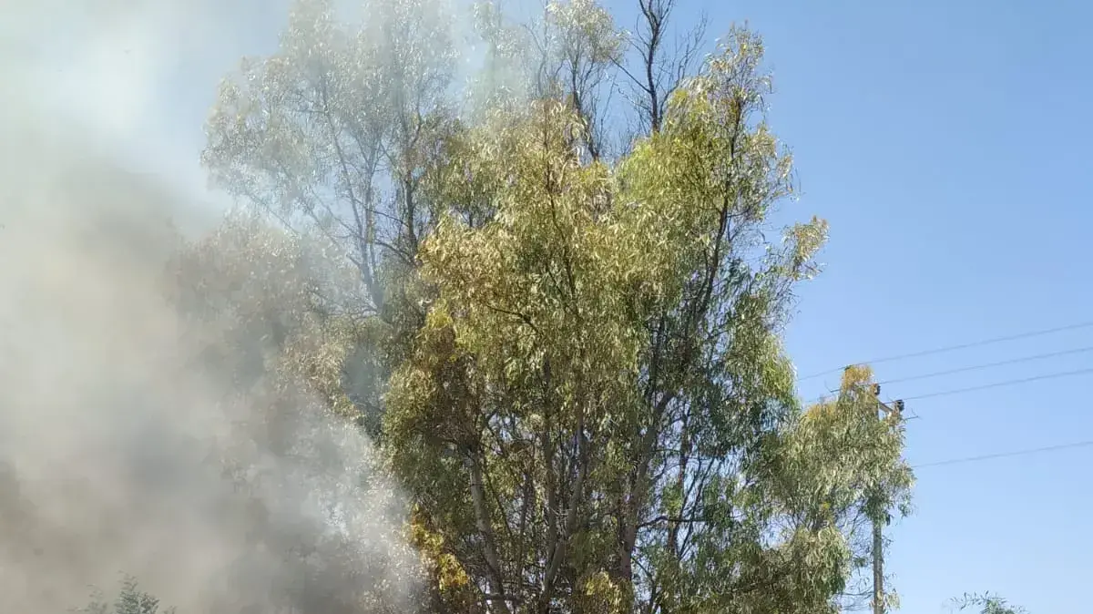 שריפה סמוך לעלומים במועצה האזורית שדות נגב - 28/6 שריפה סמוך לעלומים במועצה האזורית שדות נגב - 28/6