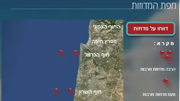 מפת המדוזות מפת המדוזות