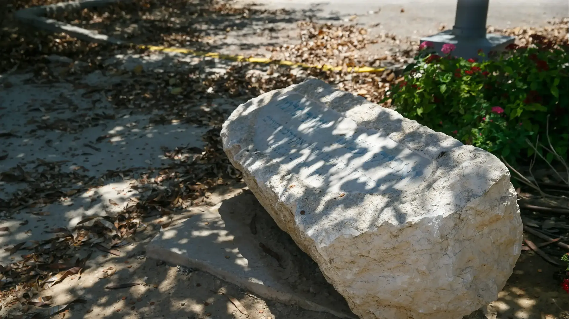 קיבוץ נירים קיבוץ נירים