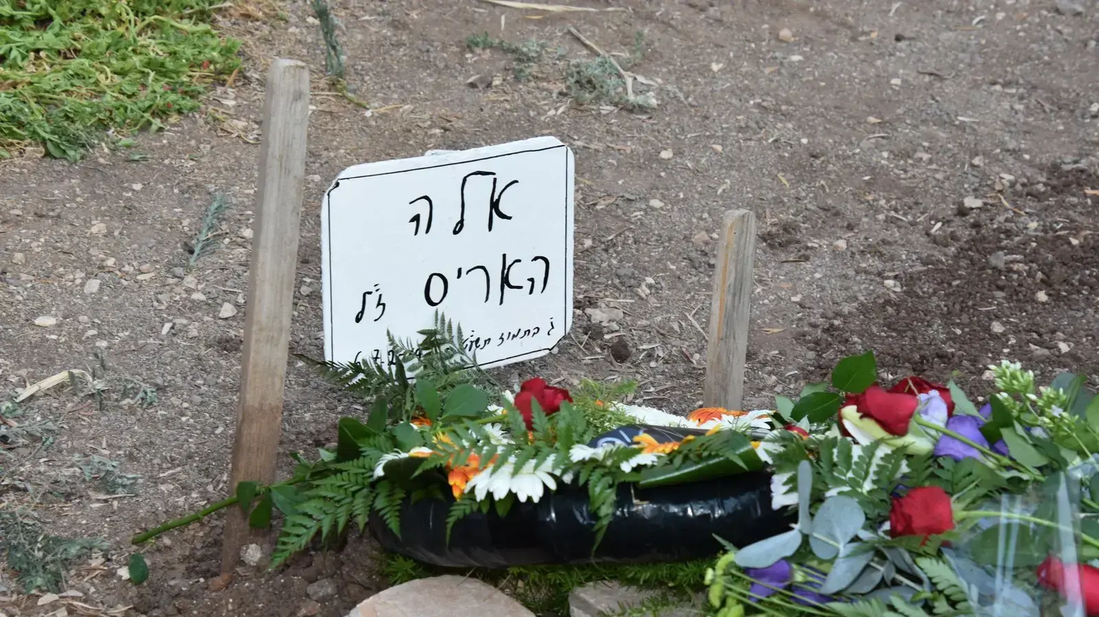 הלוויתה של זמרת הגבעטרון, אלה האריס הלוויתה של זמרת הגבעטרון, אלה האריס