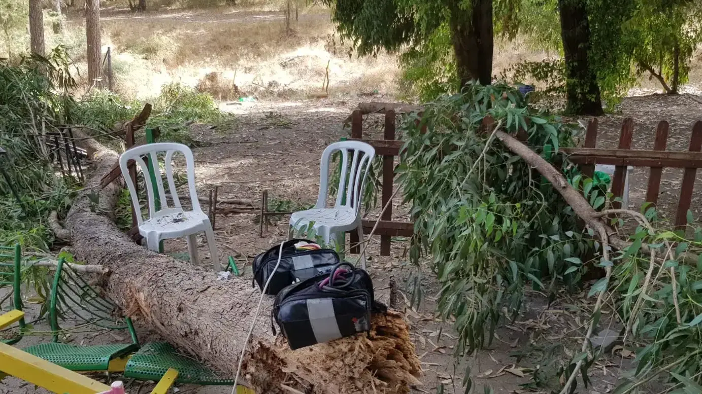 ילד בן 10 נהרג אחרי שעץ קרס עליו באקשן פארק בקריית גת ילד בן 10 נהרג אחרי שעץ קרס עליו באקשן פארק בקריית גת