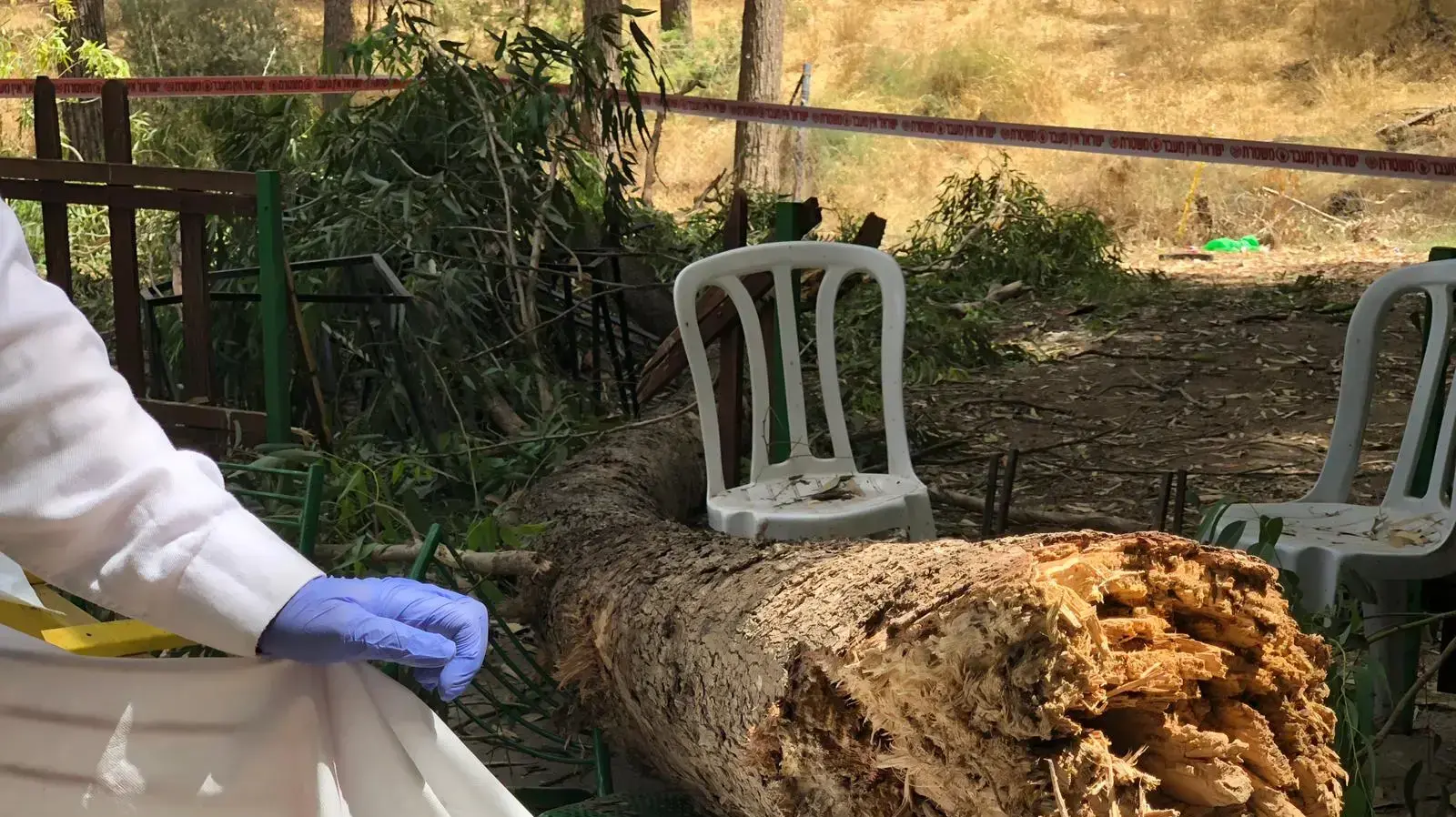 ילד בן 10 נהרג אחרי שעץ קרס עליו באקשן פארק בקריית גת