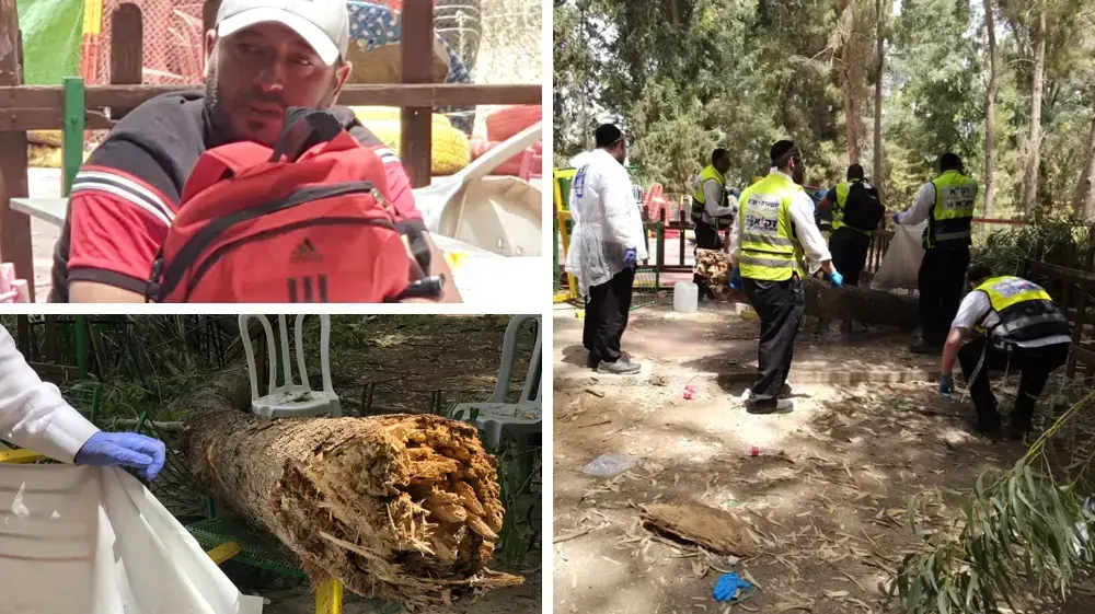 ילד בן 10 נהרג אחרי שעץ קרס עליו באקשן פארק בקריית גת