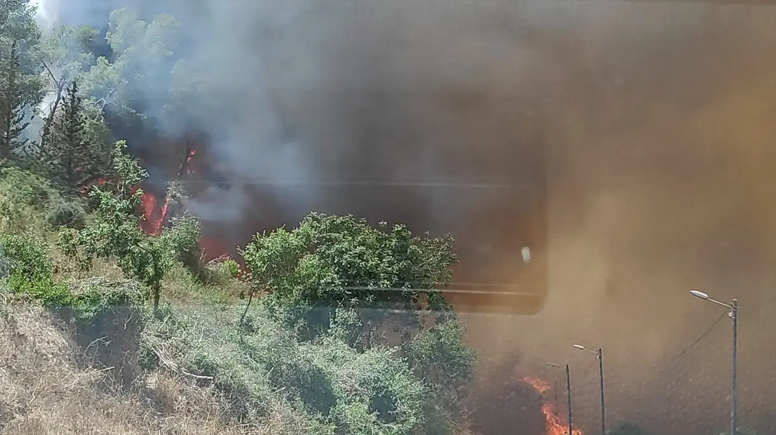 שריפה בשל השרב הכבד,אזור אדרת 17 ביולי 2019 שריפה בשל השרב הכבד,אזור אדרת 17 ביולי 2019