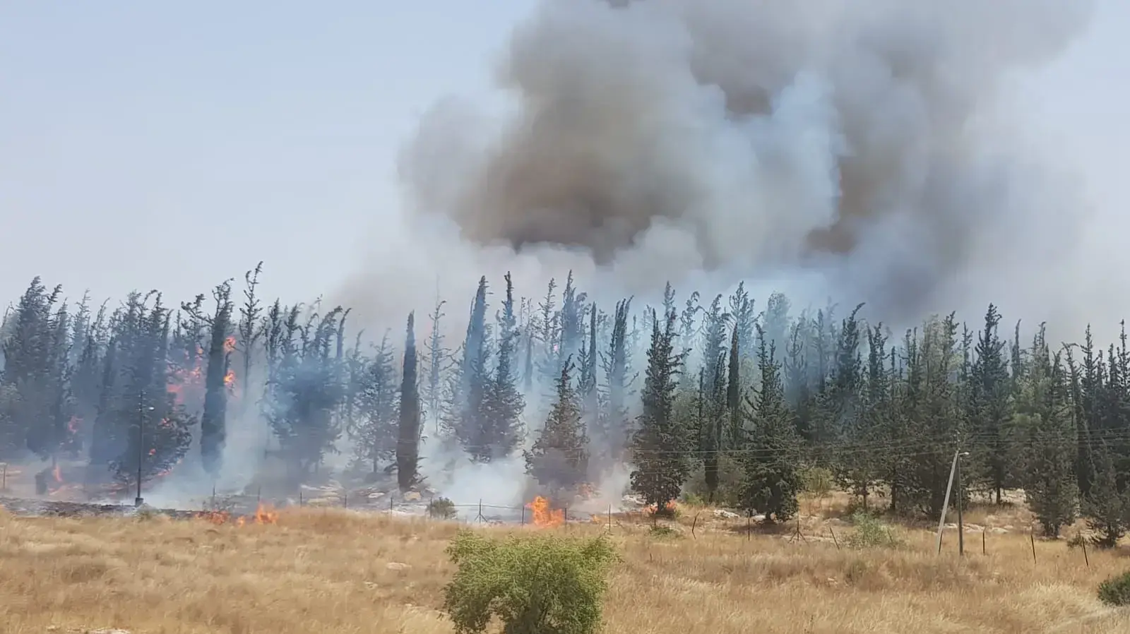 שריפה בשל השרב הכבד, יער בן שמן,  17 ביולי 2019