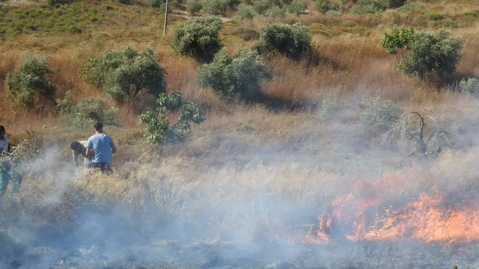 שריפה בבורין, 10 ביולי 2019