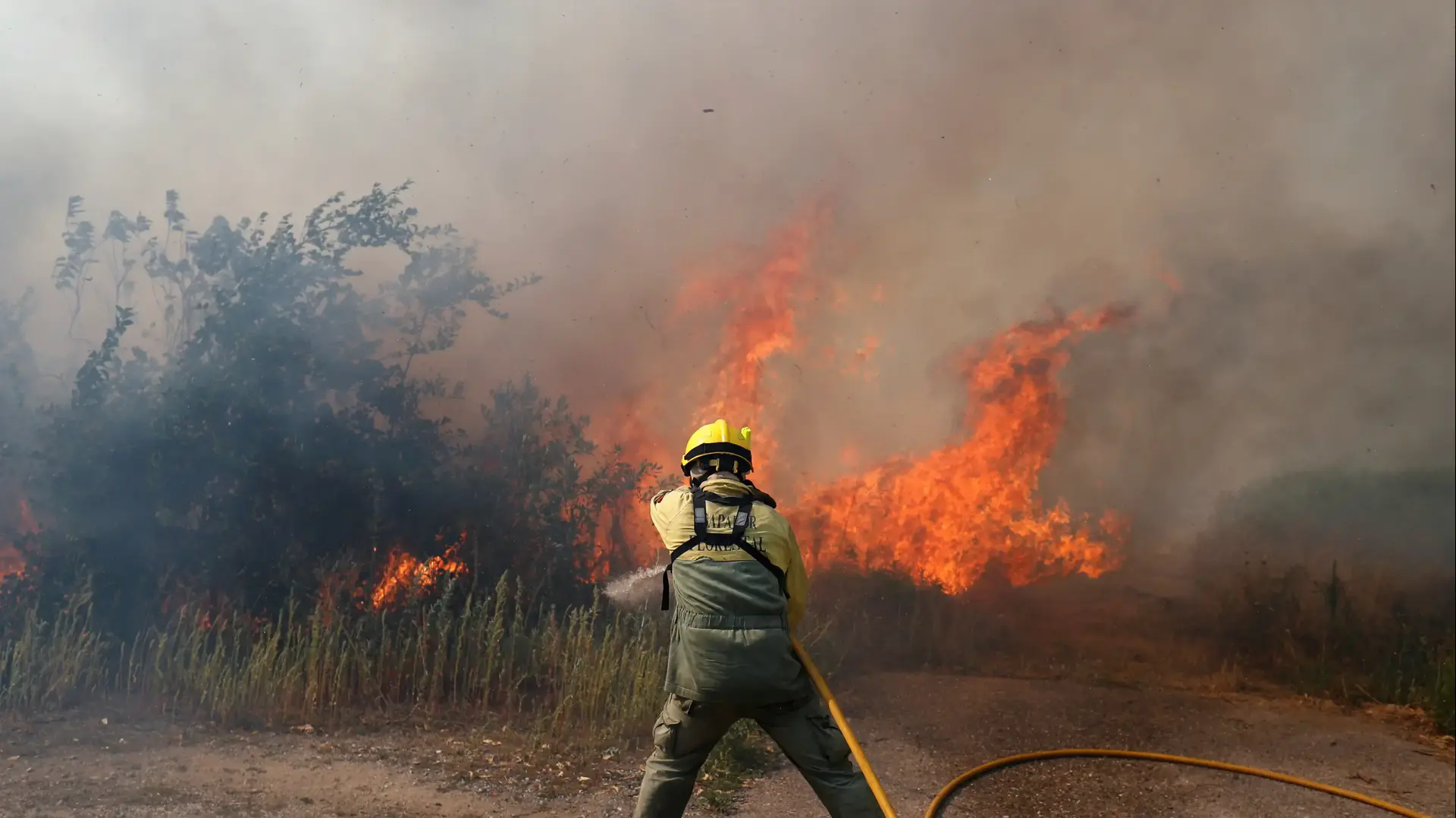 שריפת הענק בפורטוגל, 22.07.2019