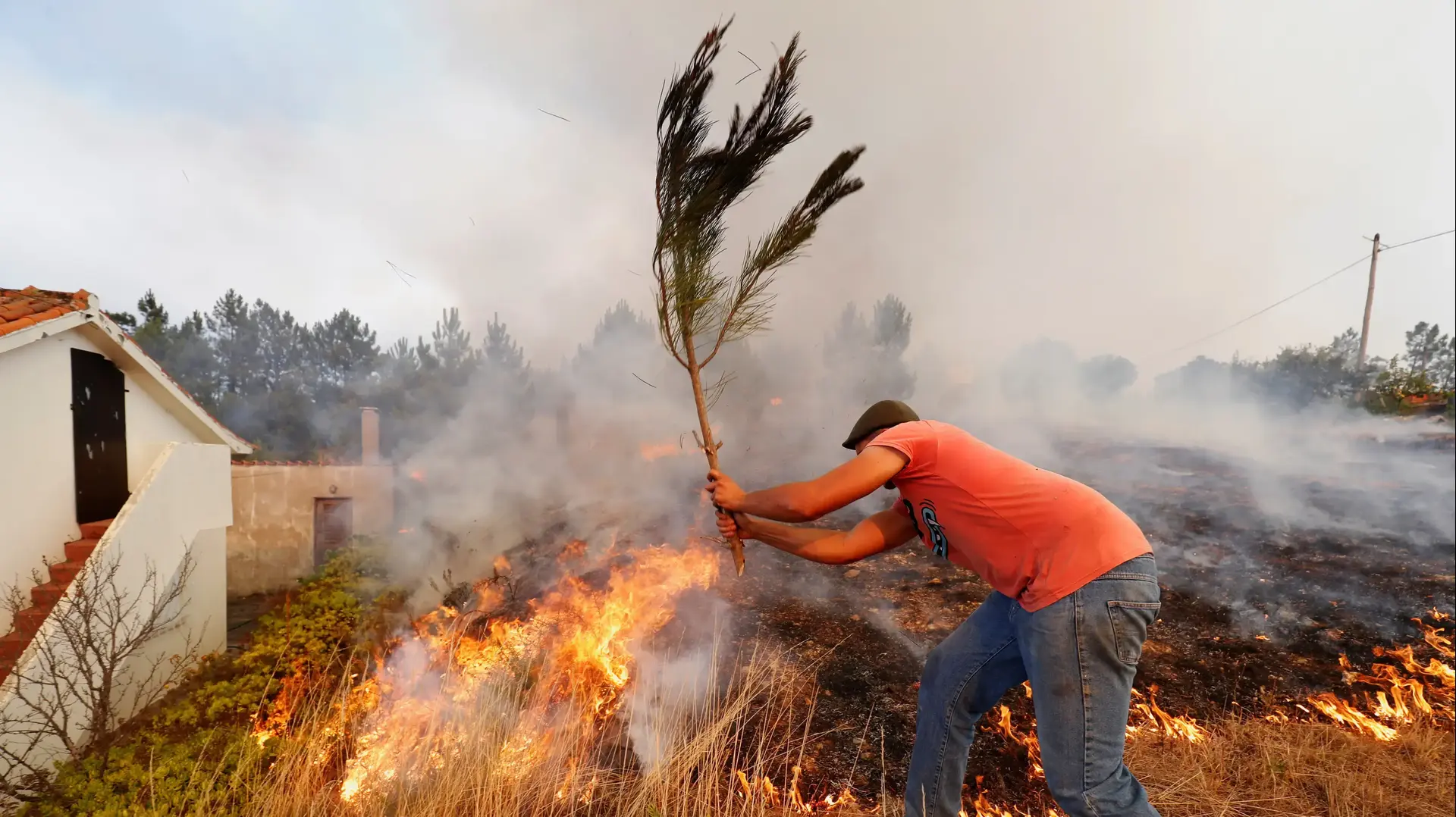 שריפת הענק בפורטוגל, 22.07.2019
