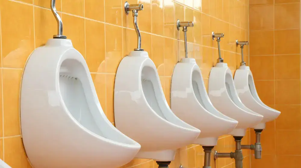 משתנות בשירותים ציבוריים משתנות בשירותים ציבוריים