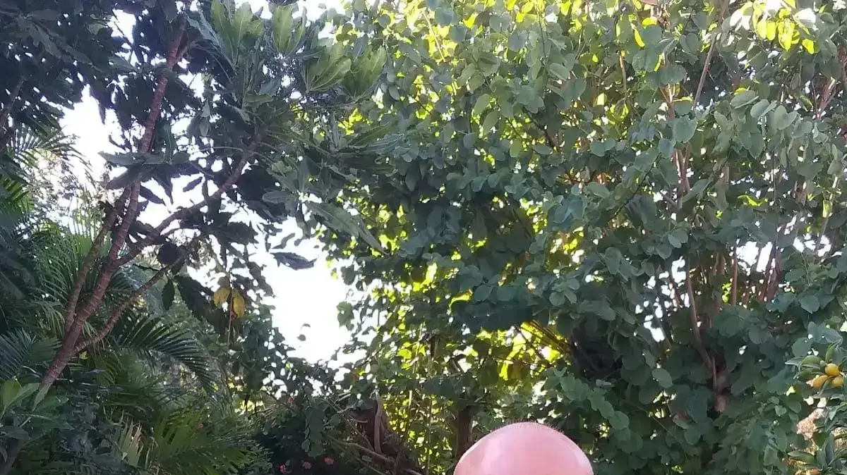 אורי בן שטרית, נהרג בתאונת עבודה במושב בצת, 17 יולי 2019 אורי בן שטרית, נהרג בתאונת עבודה במושב בצת, 17 יולי 2019
