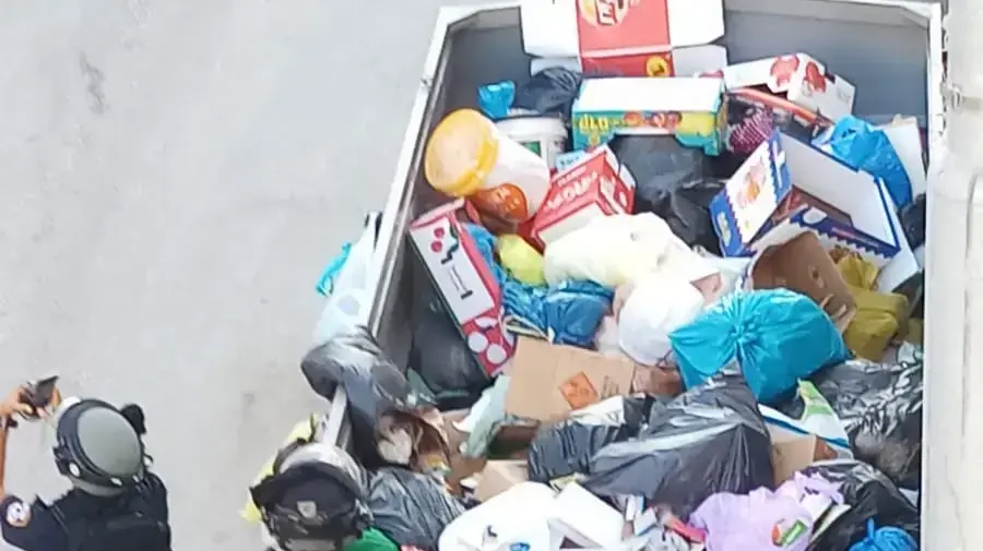 כתבה של מאיה על עיסאוויה כתבה של מאיה על עיסאוויה