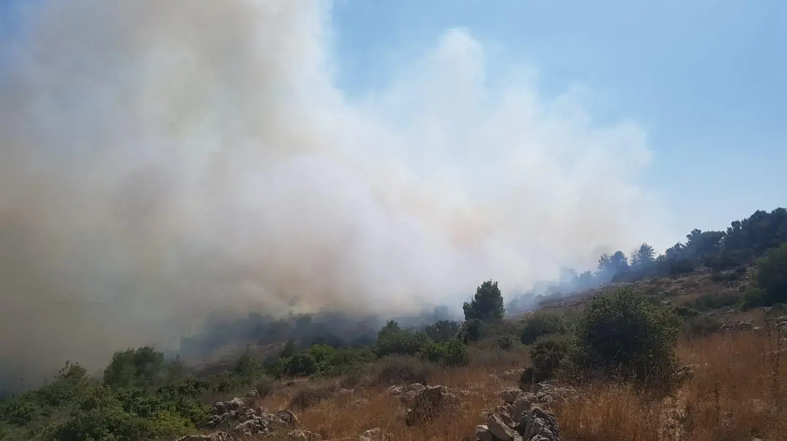 שריפה יער כרמילה הסמוך ליישוב בית מאיר שצפונית לבית שמש