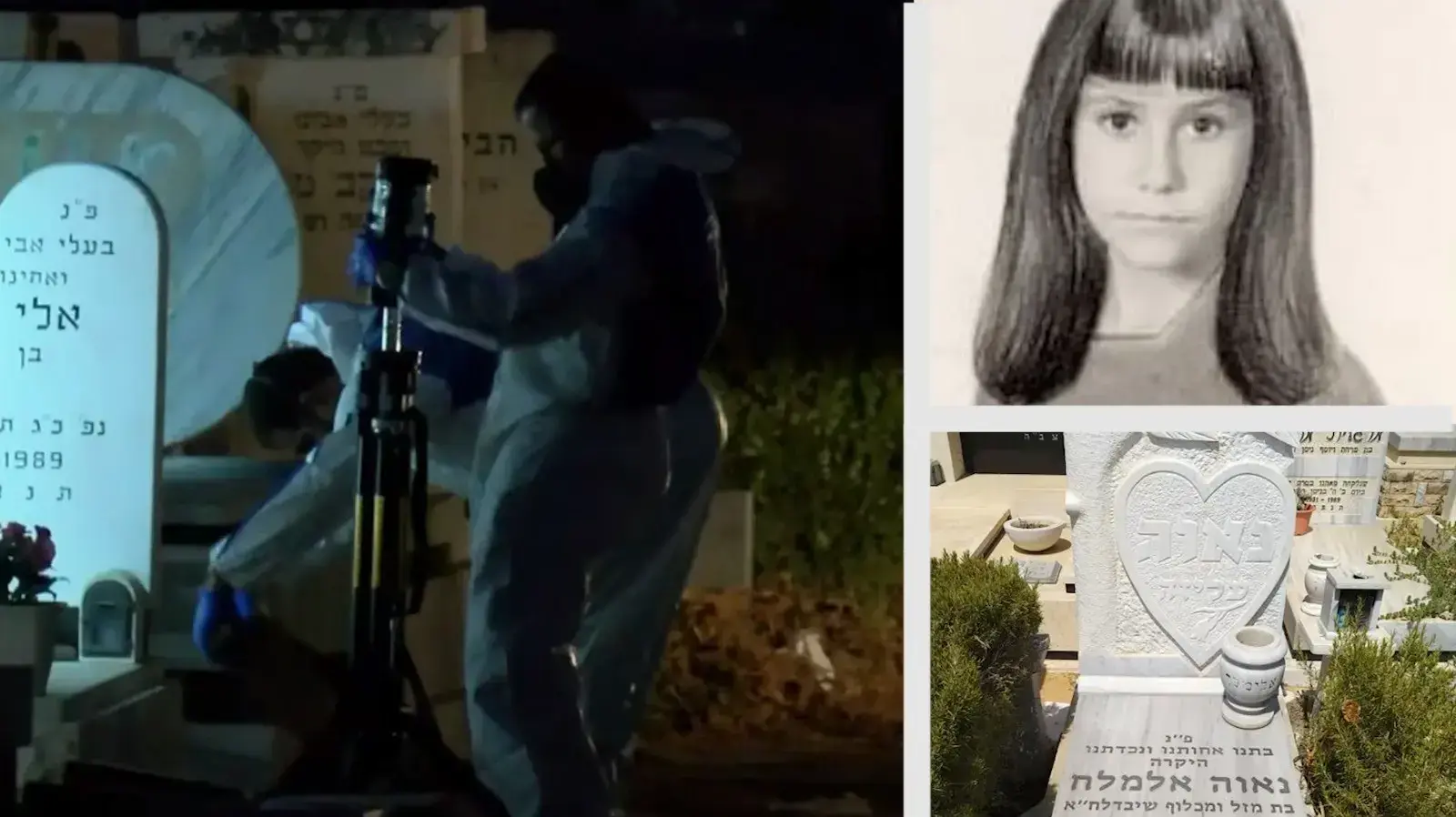 נאוה אלימלך 