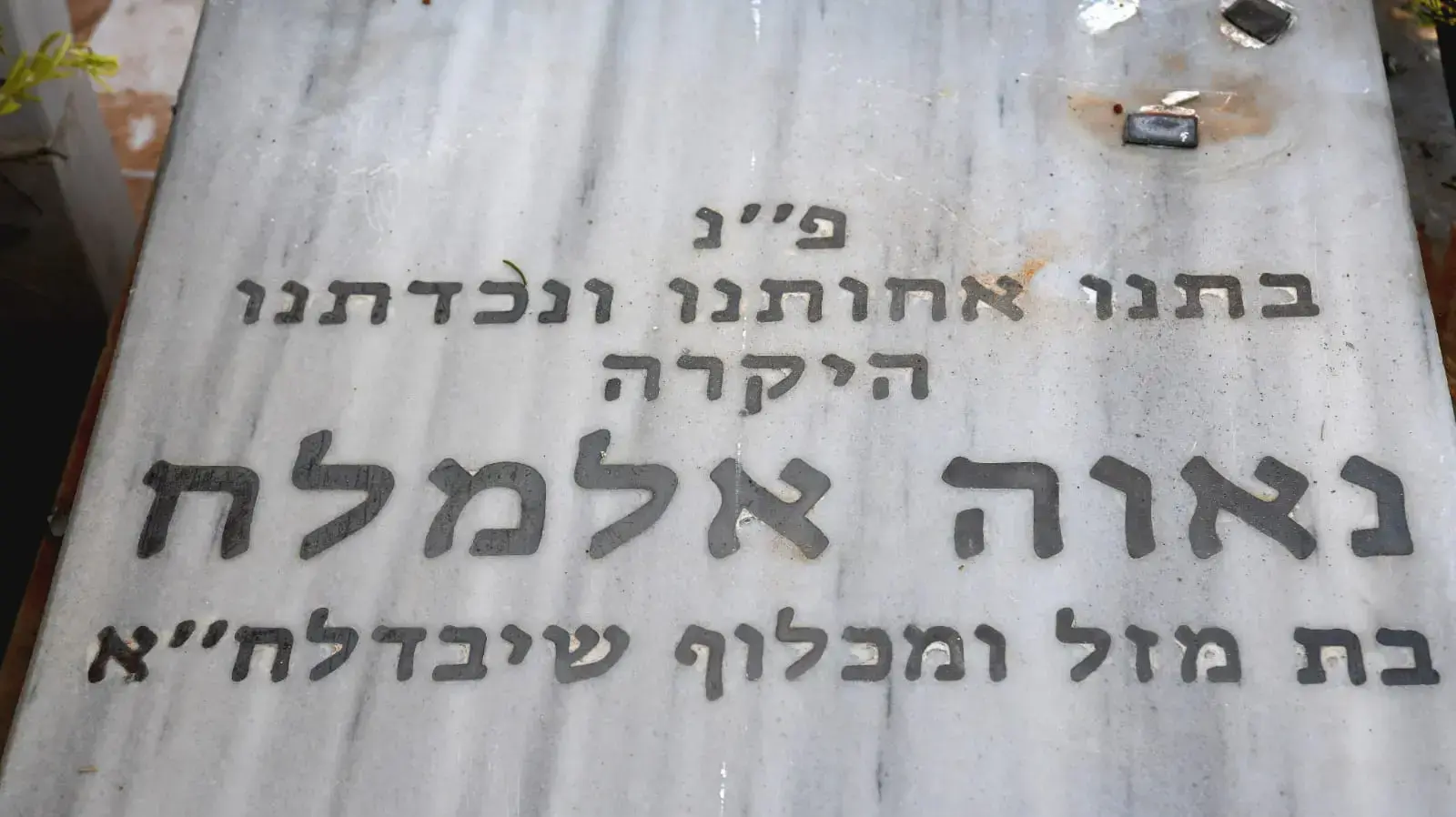 קברה של נאוה אלימלך בבת ים קברה של נאוה אלימלך בבת ים