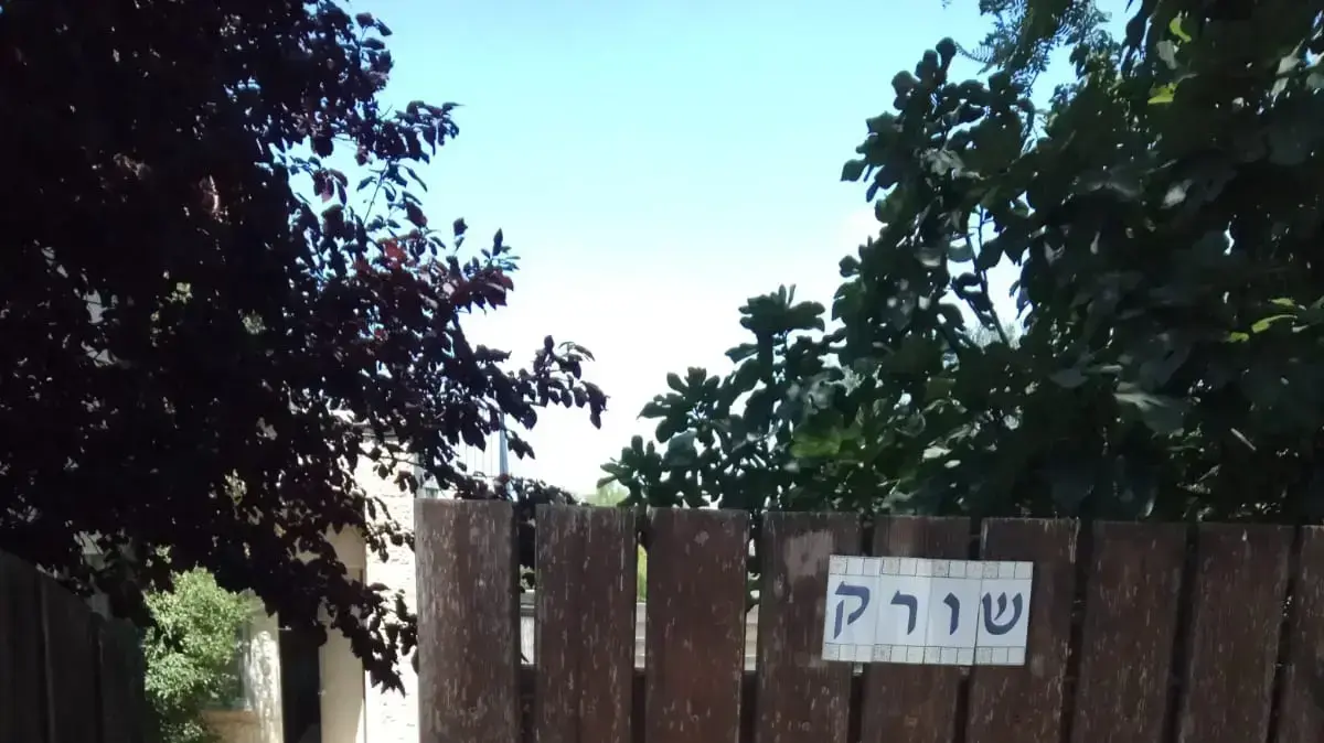בית משפחות באפרת של דביר שורק החייל בן ה- 18 שנדקר למוות בציר בין מגדל עוז לאפרת 8 באוגוסט 2019 בית משפחות באפרת של דביר שורק החייל בן ה- 18 שנדקר למוות בציר בין מגדל עוז לאפרת 8 באוגוסט 2019