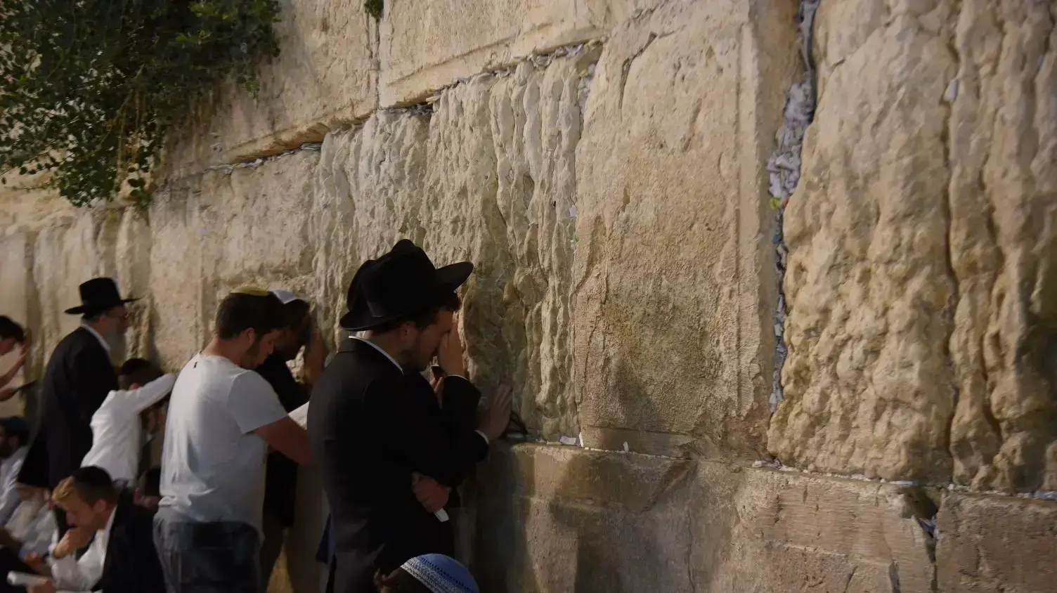 תשעה באב בכותל המערבי, 10 באוגוסט 2019 תשעה באב בכותל המערבי, 10 באוגוסט 2019