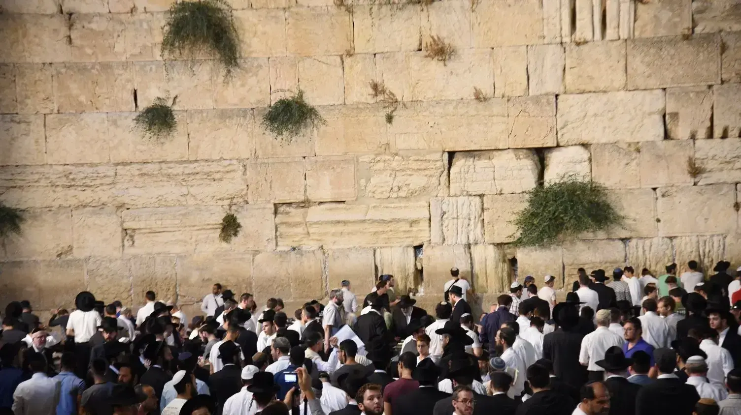 תשעה באב בכותל המערבי, 10 באוגוסט 2019 תשעה באב בכותל המערבי, 10 באוגוסט 2019