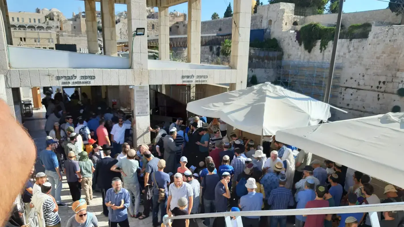 עשרות יהודים ממתינים ליד שער המוגרבים בהר הבית. עשרות אלפי מוסלמים הגיעו לתפילה הבוקר 11 באוגוסט 2019 עשרות יהודים ממתינים ליד שער המוגרבים בהר הבית. עשרות אלפי מוסלמים הגיעו לתפילה הבוקר 11 באוגוסט 2019