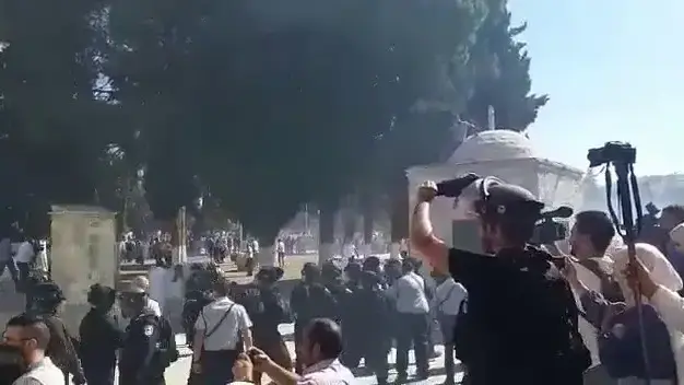 מהומות בהר הבית , 11 באוגוסט 2019 מהומות בהר הבית , 11 באוגוסט 2019