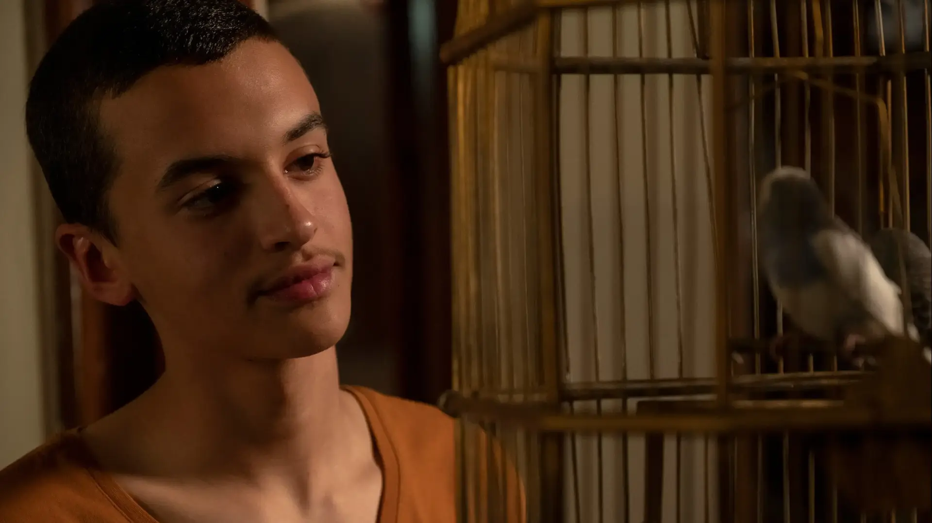 הסדרה "הנערים" של HBO וקשת הסדרה "הנערים" של HBO וקשת