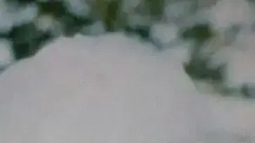אמנה יאסין, שנרצחה על ידי בעלה בג'דיידה מכר שבגליל אמנה יאסין, שנרצחה על ידי בעלה בג'דיידה מכר שבגליל