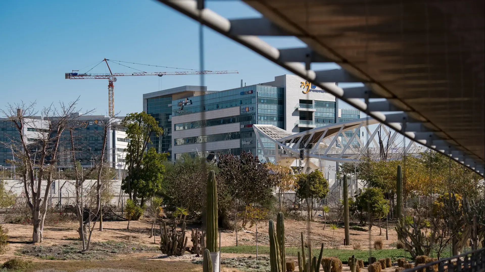 נשיאת בן גוריון לשעבר פרופ רבקה כרמי על מעבר אמ"ן דרומה נשיאת בן גוריון לשעבר פרופ רבקה כרמי על מעבר אמ"ן דרומה