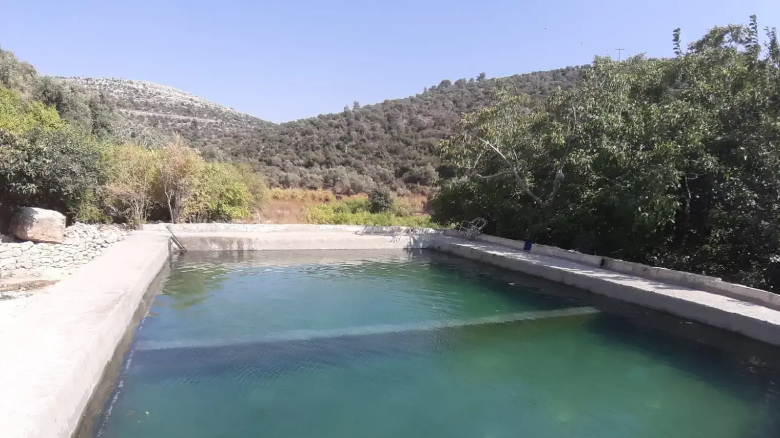המעיין בסמוך להתנחלות דולב בו נרצחה רינה שנרב בפיגוע, 23 באוגוסט 2019 המעיין בסמוך להתנחלות דולב בו נרצחה רינה שנרב בפיגוע, 23 באוגוסט 2019