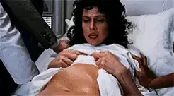 גיף הנוסע השמיני