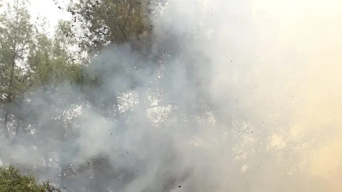 שריפה חירבת חנות כביש 375
26 באוגוסט 2019 שריפה חירבת חנות כביש 375
26 באוגוסט 2019