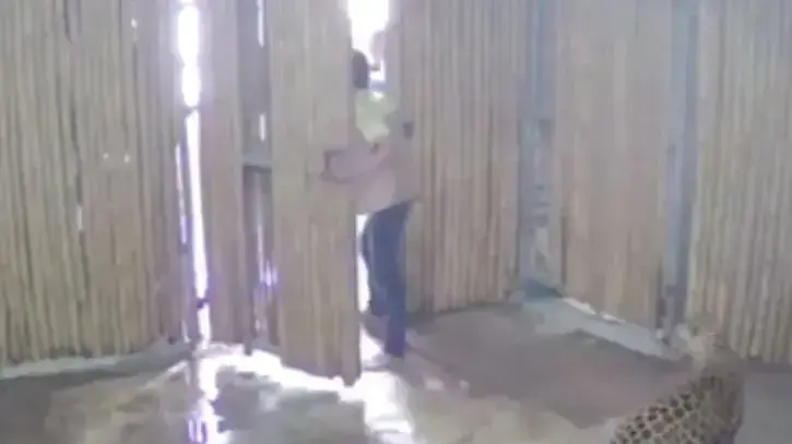 תיעוד תקיפת הילד ההישראלי שננשך בתאילנד על- ידי טיגריס תיעוד תקיפת הילד ההישראלי שננשך בתאילנד על- ידי טיגריס