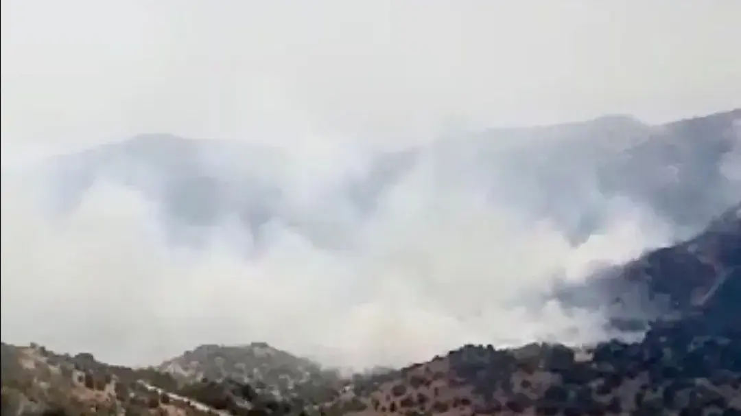 שריפות שפרצו בהר דב ברגע פעילות צה"ל באזור שריפות שפרצו בהר דב ברגע פעילות צה"ל באזור