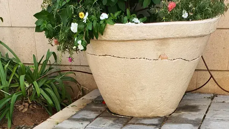 ילד נפל מהקומה השישית בבניין ביבנה ילד נפל מהקומה השישית בבניין ביבנה