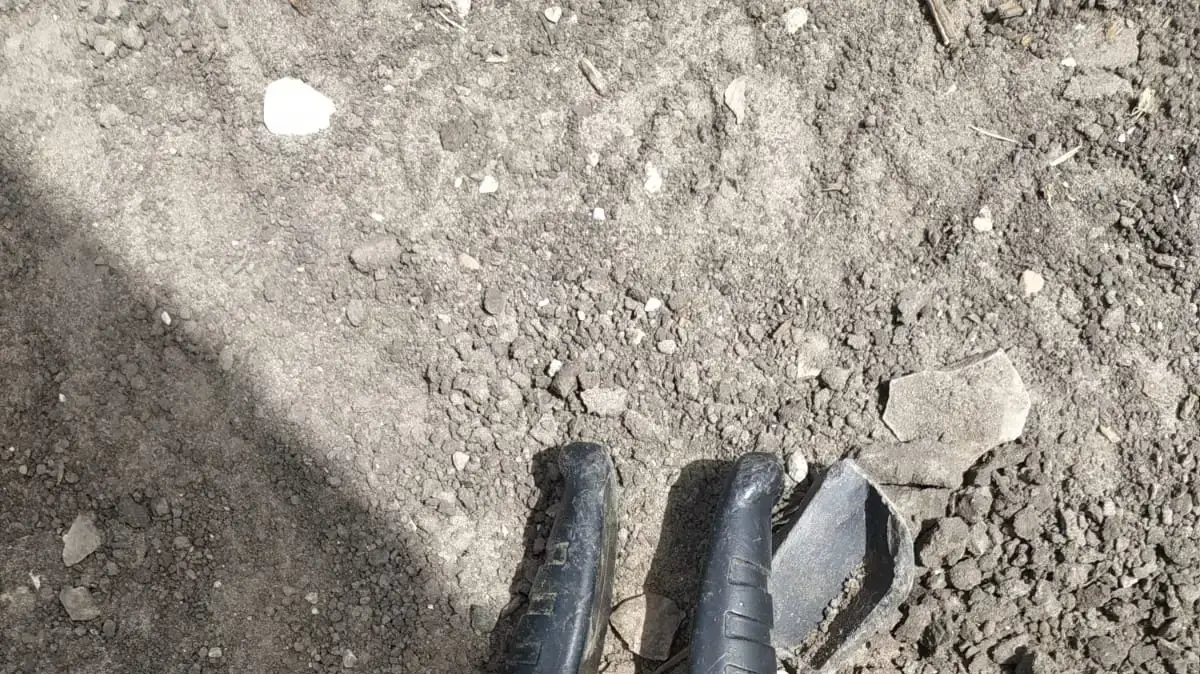 פשיעה חקלאית
גניב שזיפים מגבעת עזה
פשיעה חקלאית
גניב שזיפים מגבעת עזה