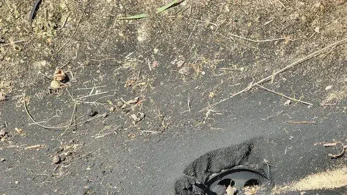 נפילה באחד מיישובי המועצה, 11.09.19 נפילה באחד מיישובי המועצה, 11.09.19
