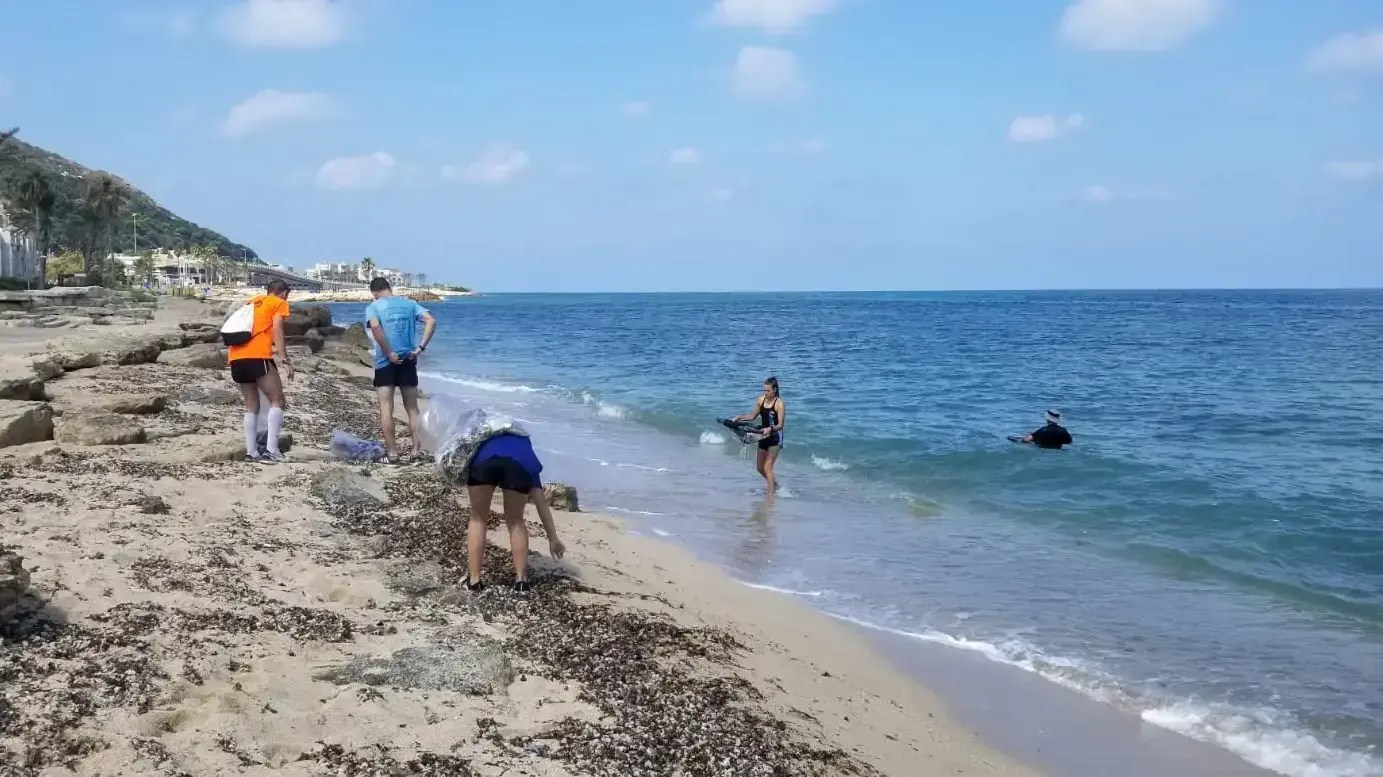 יום הניקיון הבינלאומי ניקוי חופים יום הניקיון הבינלאומי ניקוי חופים