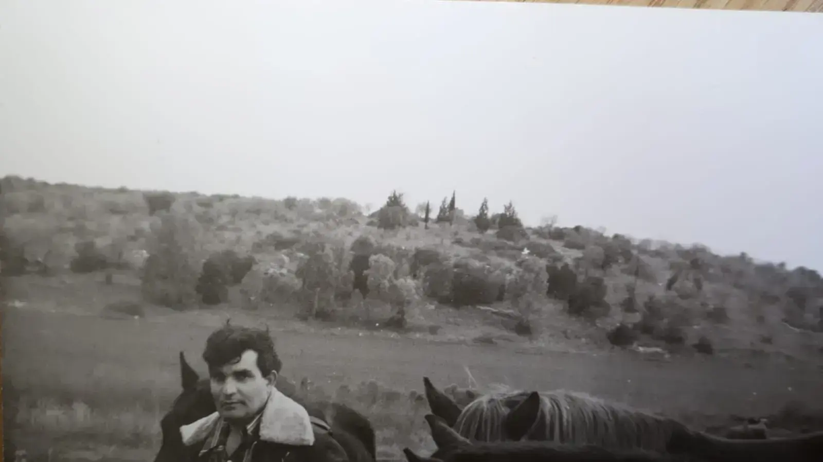 תערוכה חדשה של הצייר ניצול השואה יורם קליינר תערוכה חדשה של הצייר ניצול השואה יורם קליינר