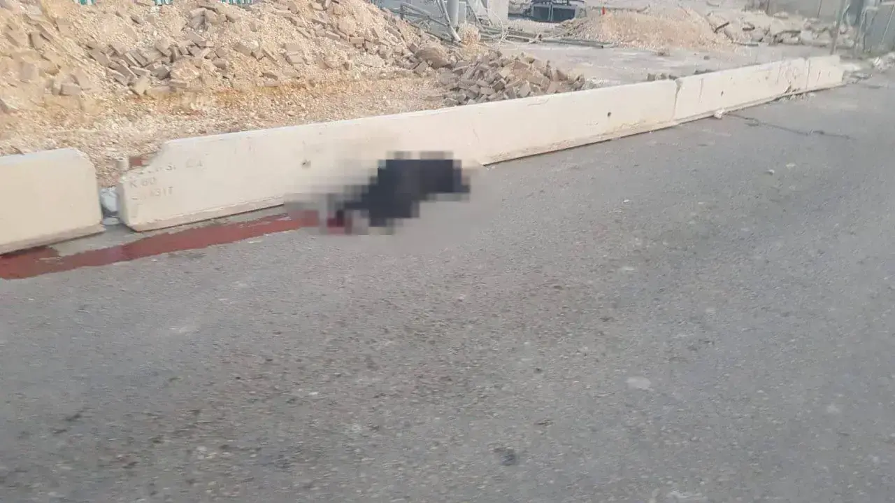 דיווח על פציעת פלסטינית מירי צה"ל במחסום קלנדיא, 18 בספטמבר 2019 דיווח על פציעת פלסטינית מירי צה"ל במחסום קלנדיא, 18 בספטמבר 2019