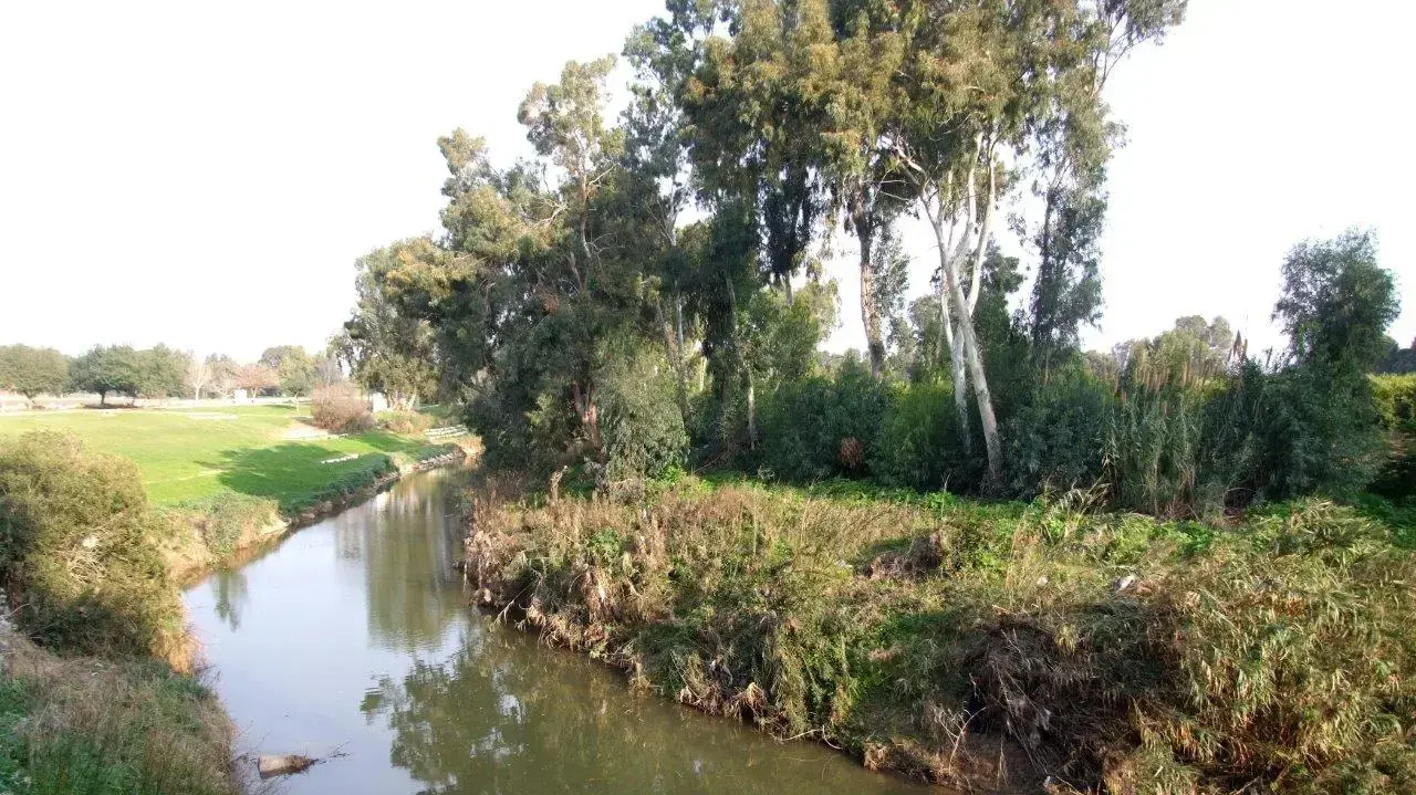 שביל השרון נחל אלכסנדר שביל השרון נחל אלכסנדר