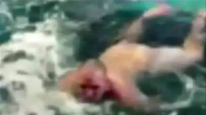 גבר שוחה בעירום באקווריום עם כרישים