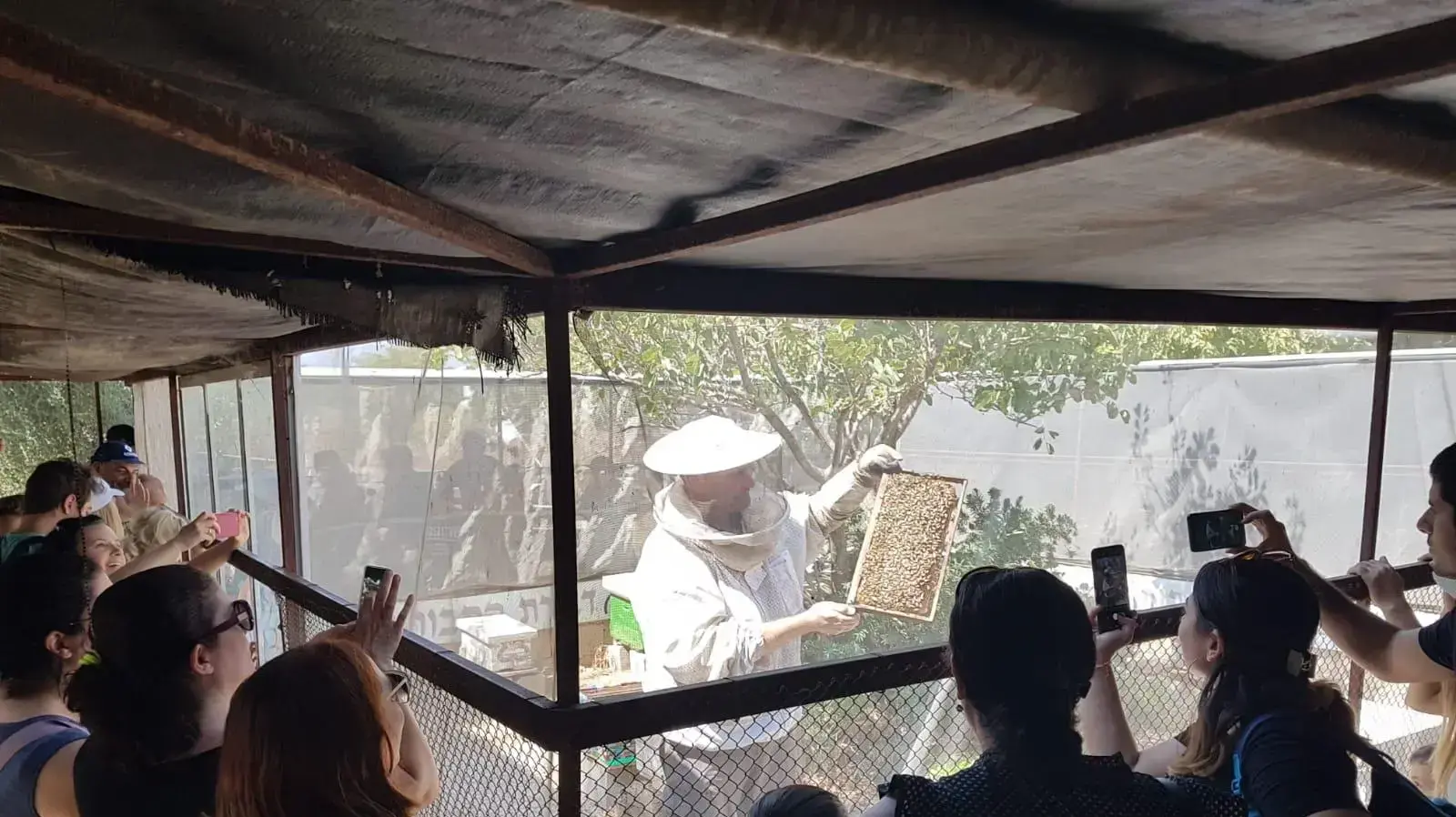 פעילות פסטיבל הדבש במכוורת דבורת התבור במושב שדמות דבורה ב-30 בספטמבר 2019 פעילות פסטיבל הדבש במכוורת דבורת התבור במושב שדמות דבורה ב-30 בספטמבר 2019