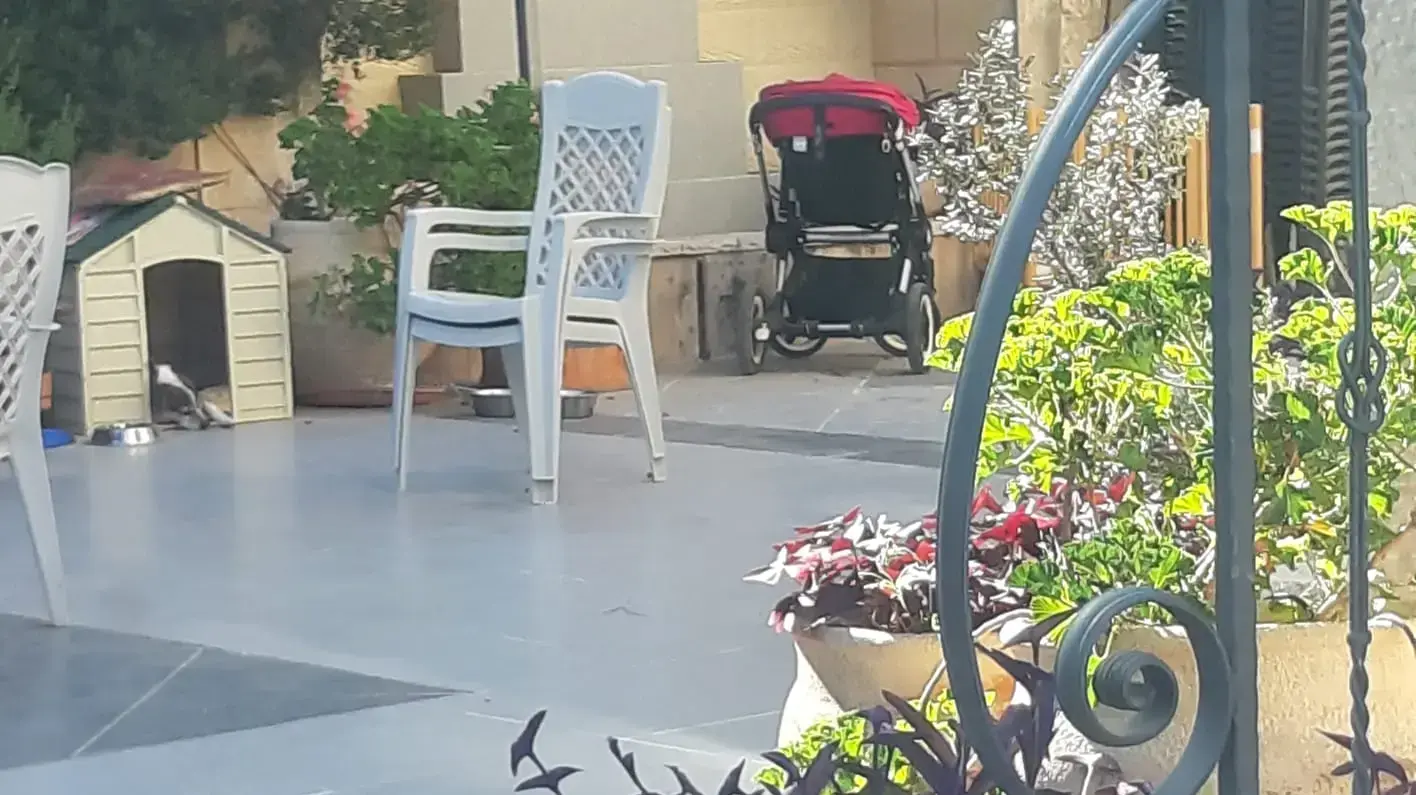 חשד לרצח במוצא: זירת התקרית חשד לרצח במוצא: זירת התקרית