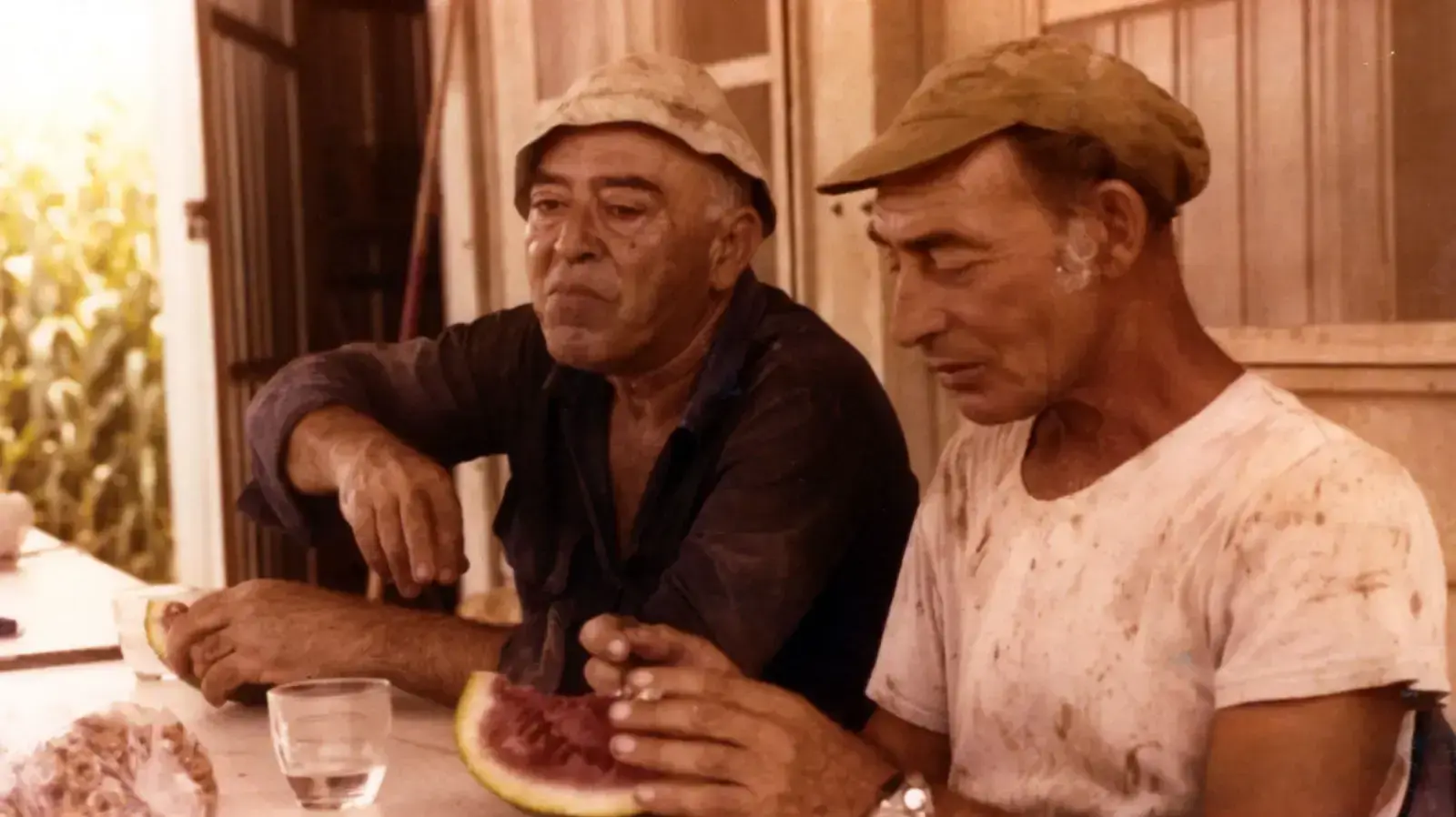 אייטם סוכות- סוכל אוכל בבננות אפיקים (בתמונה: אוסקה קול ויצחק רוסו) אייטם סוכות- סוכל אוכל בבננות אפיקים (בתמונה: אוסקה קול ויצחק רוסו)