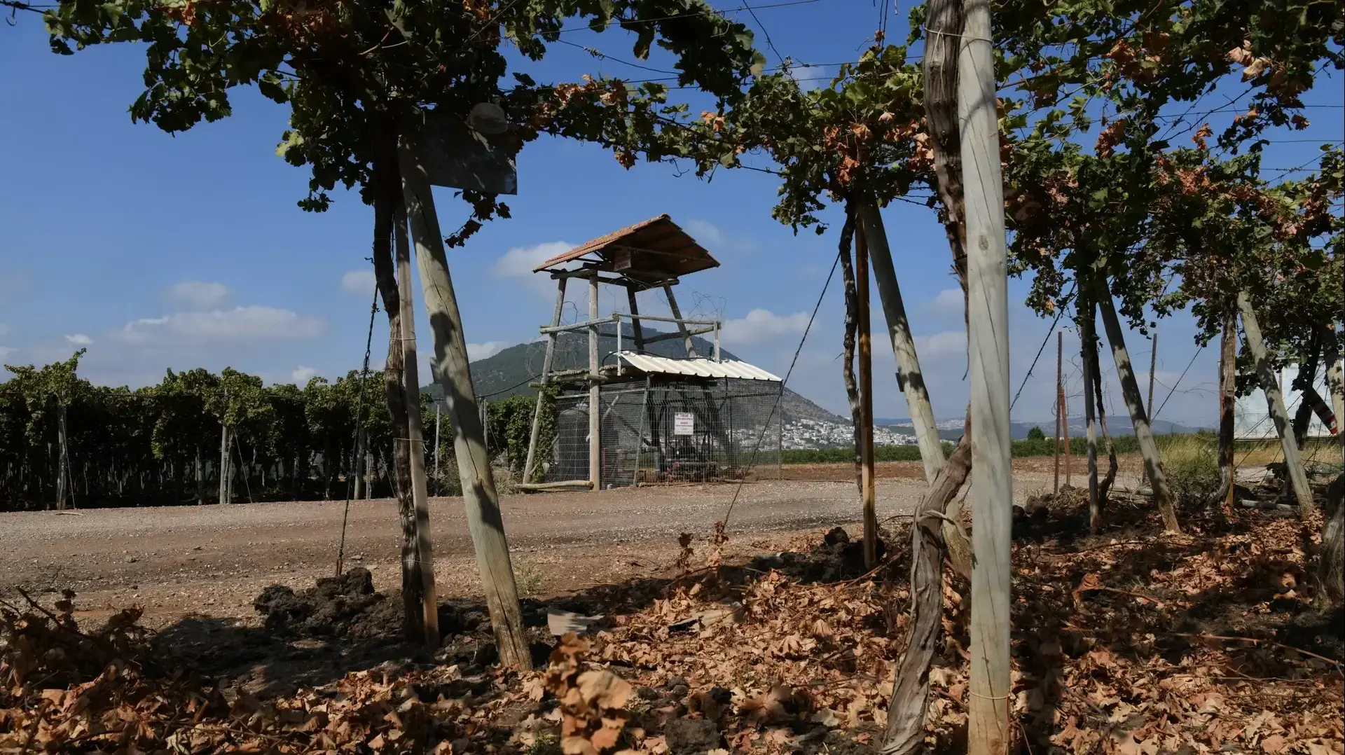 סוכה בכפר תבור 6 באוקטובר 2019 סוכה בכפר תבור 6 באוקטובר 2019