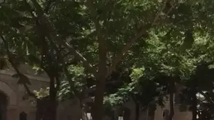 מחאה בכפר עקב על היעדר ההסדרה לביה"ס "דאר אל-מערפה" המיועד לכ-1,800 תלמידים מחאה בכפר עקב על היעדר ההסדרה לביה"ס "דאר אל-מערפה" המיועד לכ-1,800 תלמידים