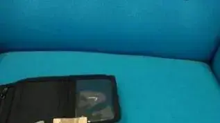 חפציו של דביר שורק 