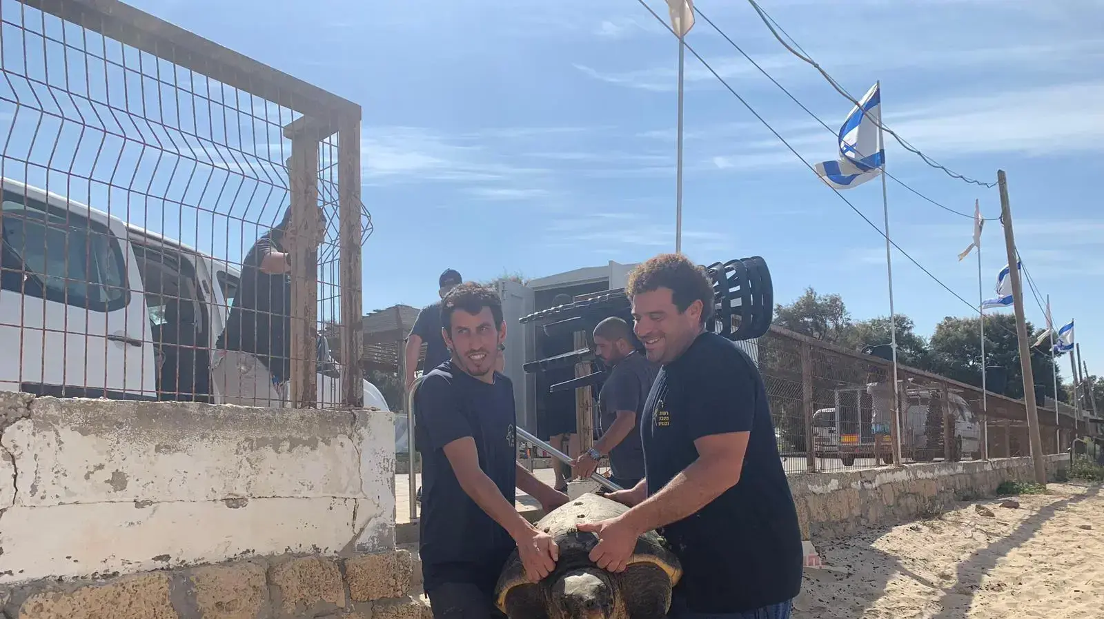 צבת הים שנמצאה בינואר השנה תשושה וזקוקה לטיפול תרופתי, שבה לים בחוף אולגה. 12 באוקטובר 2019
