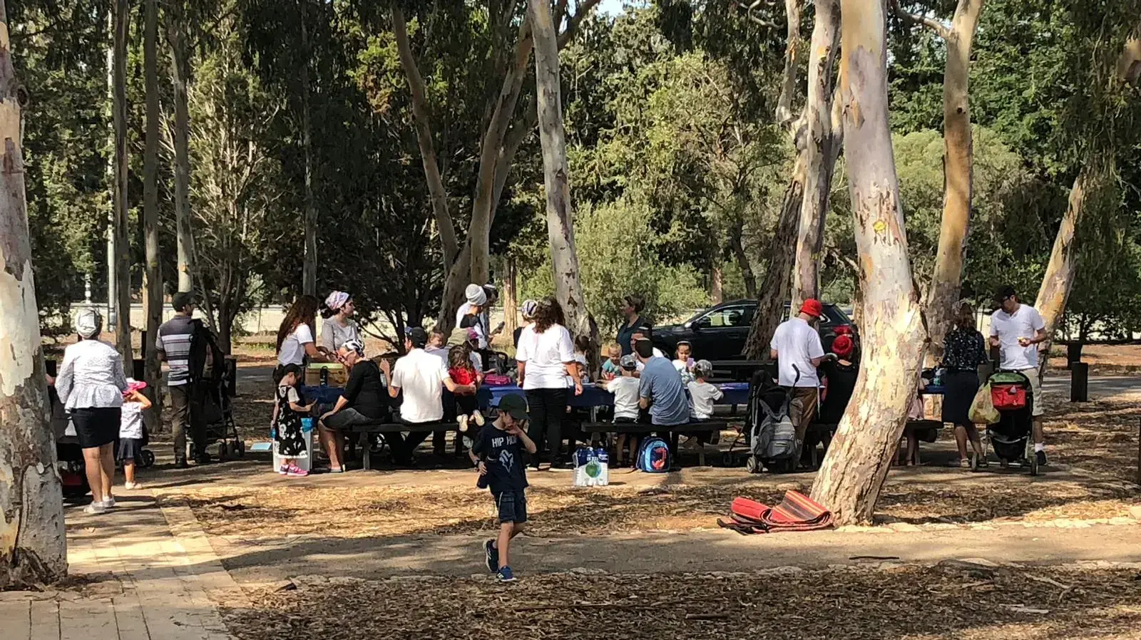 מטיילים בחול המועד סוכות, יער אילנות הגן בוטני, 15 באוקטובר 2019 מטיילים בחול המועד סוכות, יער אילנות הגן בוטני, 15 באוקטובר 2019