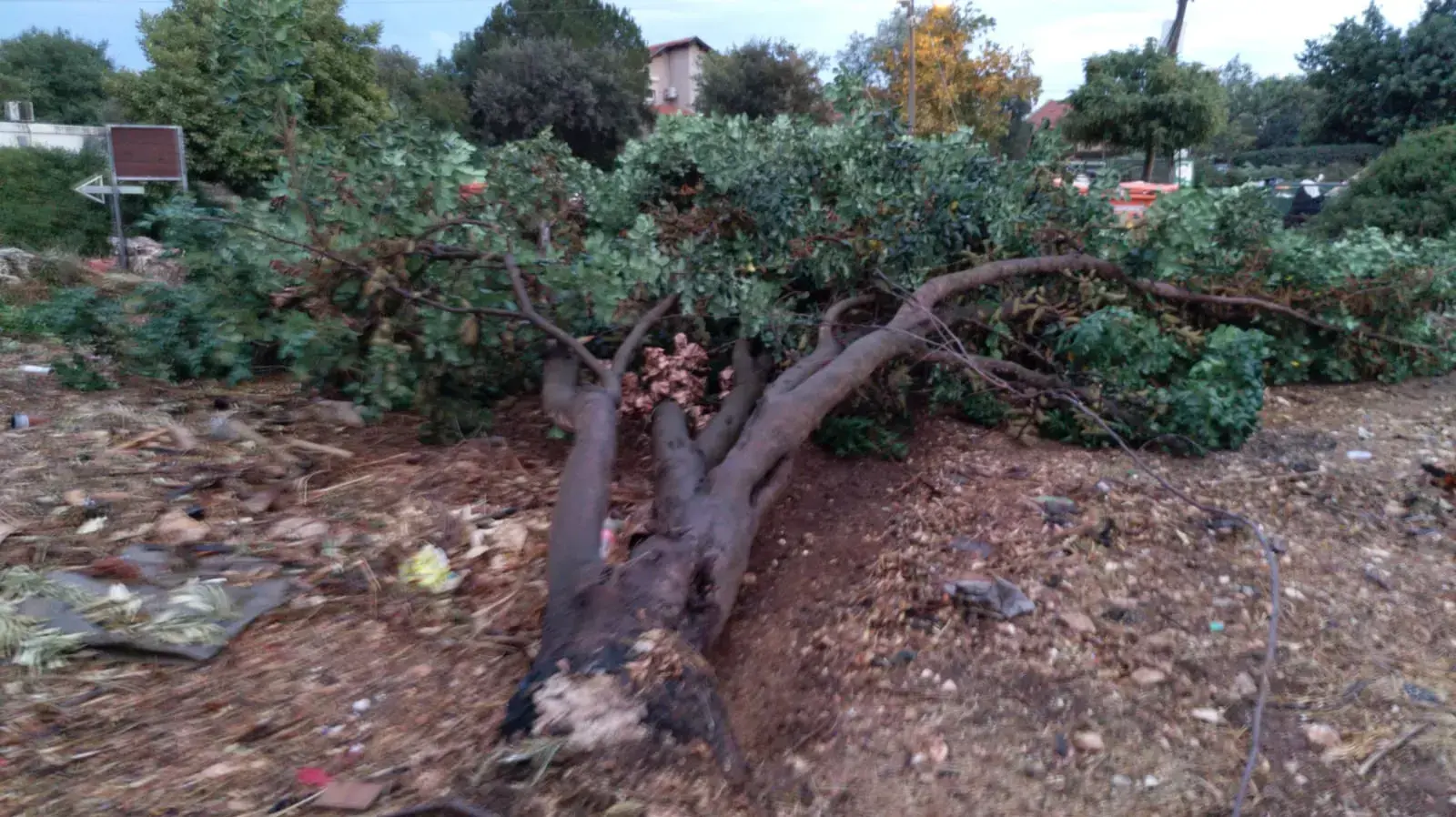 נזקי מזג האוויר במושב גדיש- נזקי רכוש נגרמו לדירות בעקבות נפילת עצים. 15 באוקטובר 2019 נזקי מזג האוויר במושב גדיש- נזקי רכוש נגרמו לדירות בעקבות נפילת עצים. 15 באוקטובר 2019
