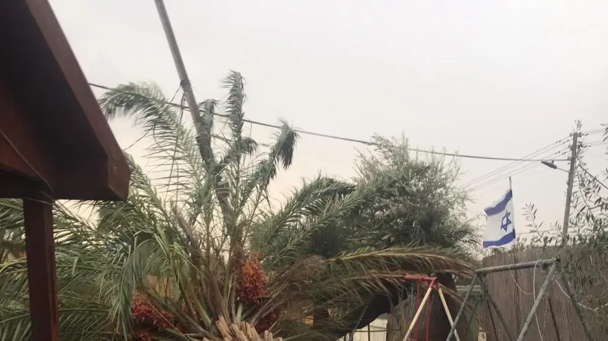 נזקי מזג האוויר במושב גדיש- נזקי רכוש נגרמו לדירות בעקבות נפילת עצים. 15 באוקטובר 2019 נזקי מזג האוויר במושב גדיש- נזקי רכוש נגרמו לדירות בעקבות נפילת עצים. 15 באוקטובר 2019